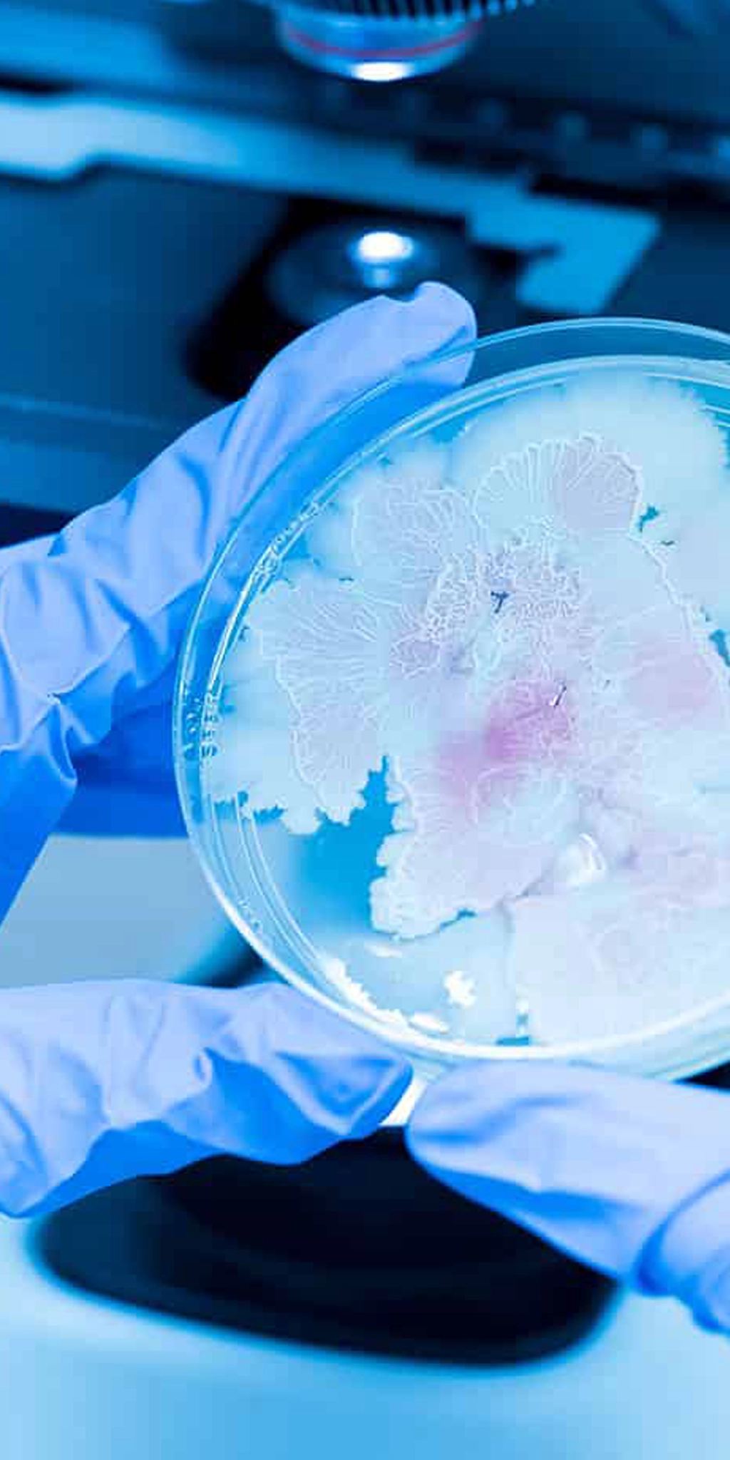 Microbial